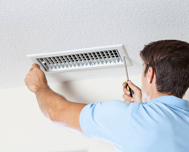Reliable Citrus Springs, FL Mold Removal Solutions