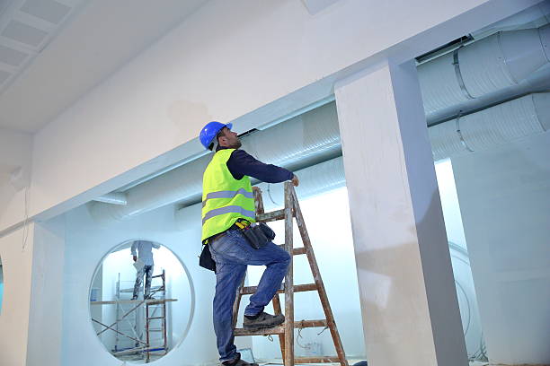 Best Commercial Mold Inspection  in Citrus Springs, FL